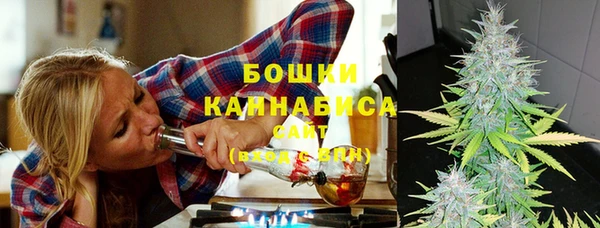 тгк Кулебаки