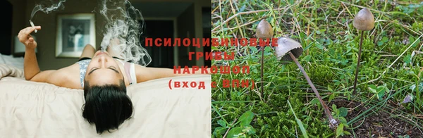 тгк Кулебаки