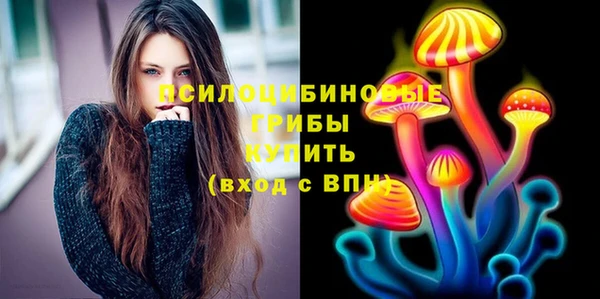 тгк Кулебаки