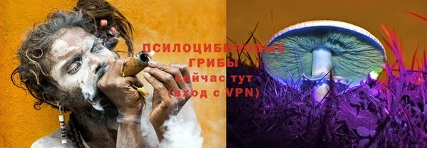 ГАЛЛЮЦИНОГЕННЫЕ ГРИБЫ Куйбышев