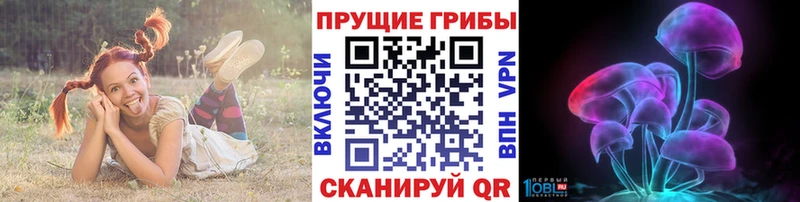Псилоцибиновые грибы ЛСД  наркота  Дивногорск 