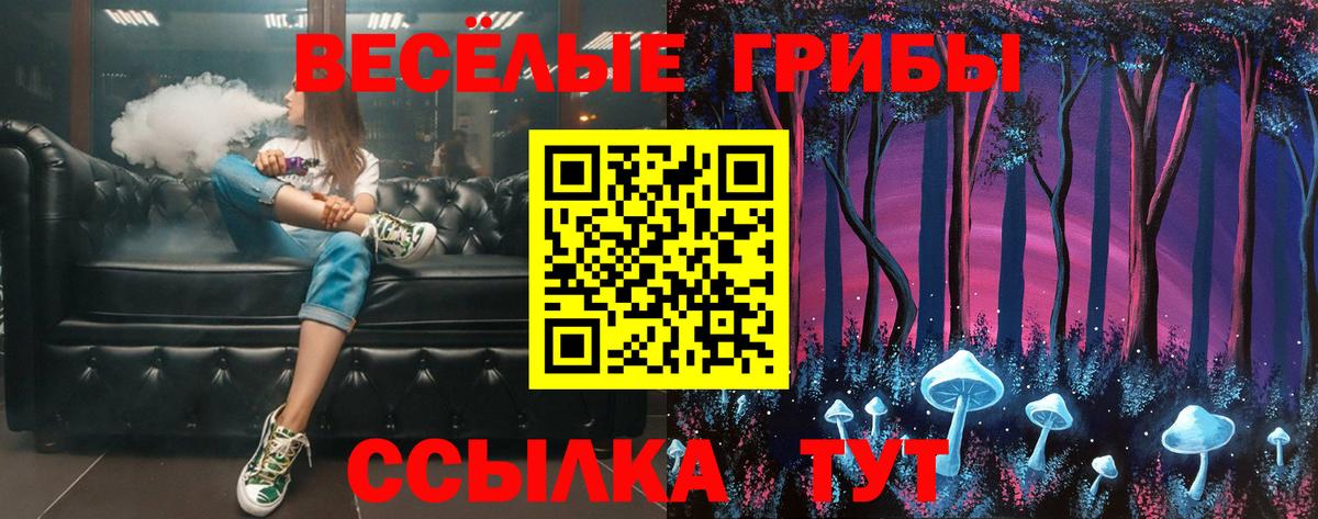 Псилоцибиновые грибы Psilocybe  Вход с VPN  Дивногорск 