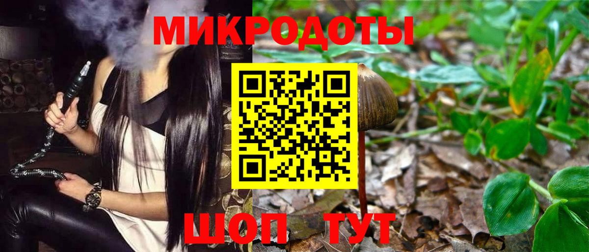 Галлюциногенные грибы Psilocybe  где купить   Дивногорск 